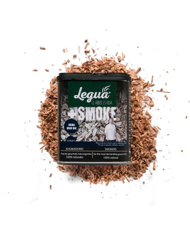 +SMOKE ENCINA PARA ALADIN